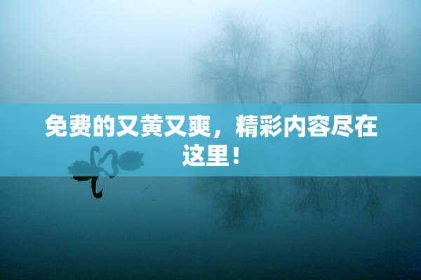 免费的又黄又爽，精彩内容尽在这里！