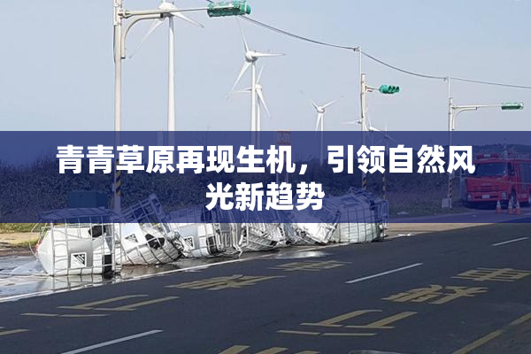 青青草原再现生机，引领自然风光新趋势