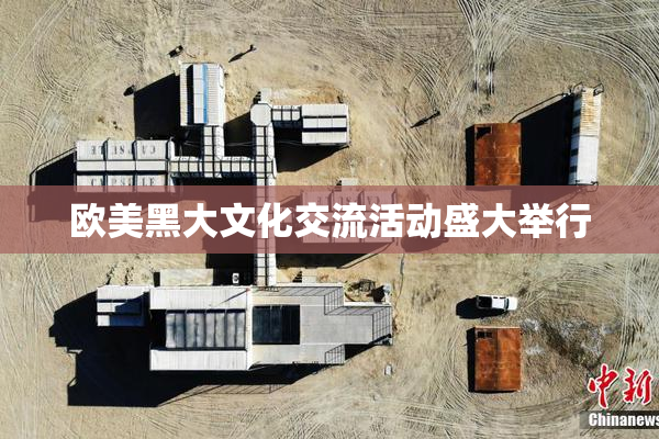 欧美黑大文化交流活动盛大举行