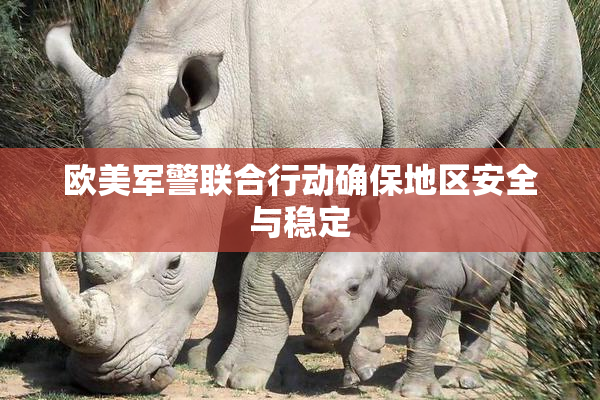 欧美军警联合行动确保地区安全与稳定