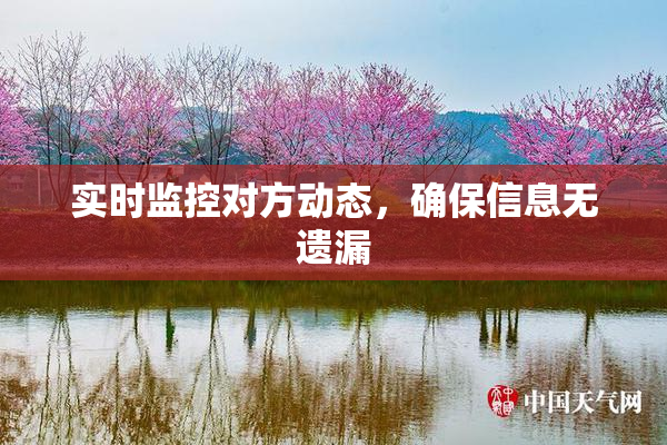 实时监控对方动态，确保信息无遗漏