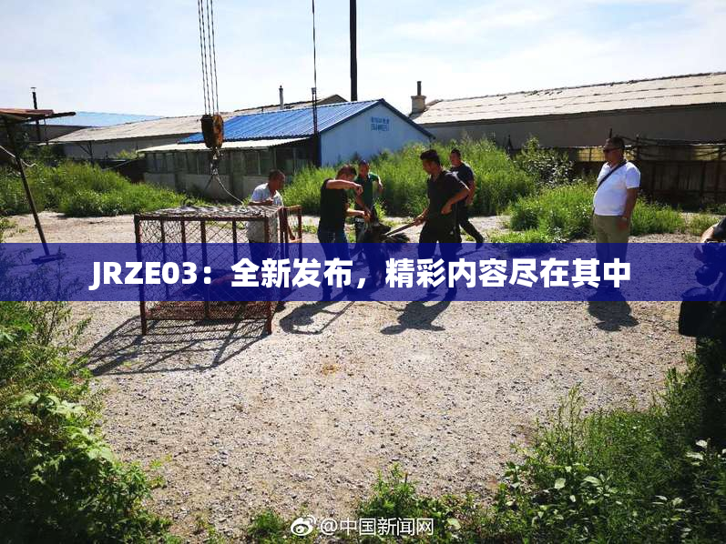 JRZE03：全新发布，精彩内容尽在其中