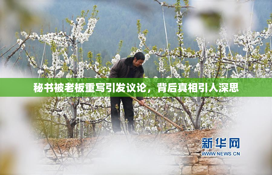 秘书被老板重写引发议论，背后真相引人深思