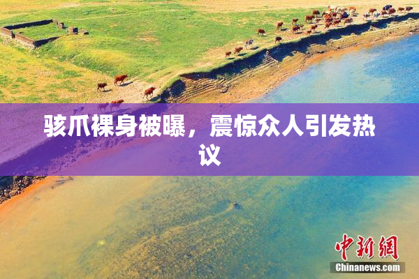 骇爪裸身被曝，震惊众人引发热议