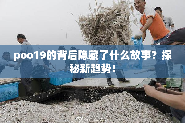 poo19的背后隐藏了什么故事？探秘新趋势！