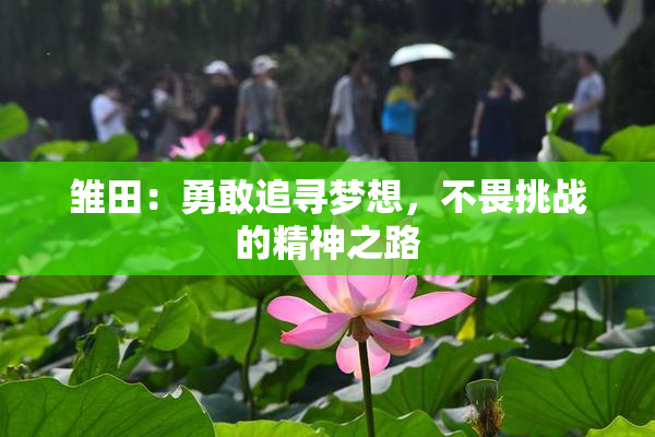 雏田：勇敢追寻梦想，不畏挑战的精神之路