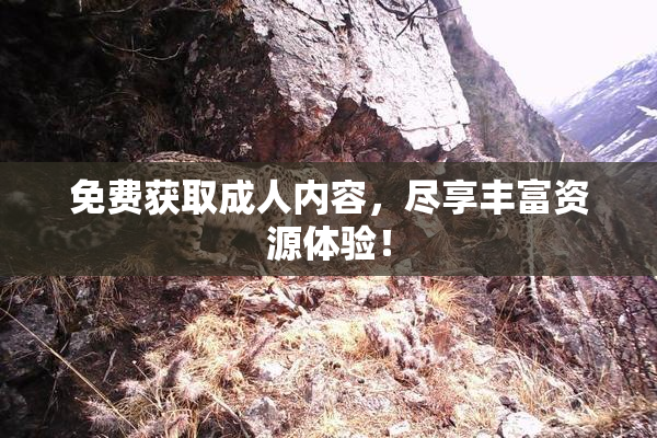 免费获取成人内容，尽享丰富资源体验！