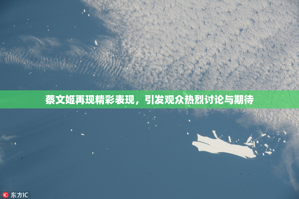 蔡文姬再现精彩表现，引发观众热烈讨论与期待