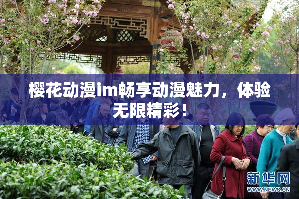 樱花动漫im畅享动漫魅力，体验无限精彩！