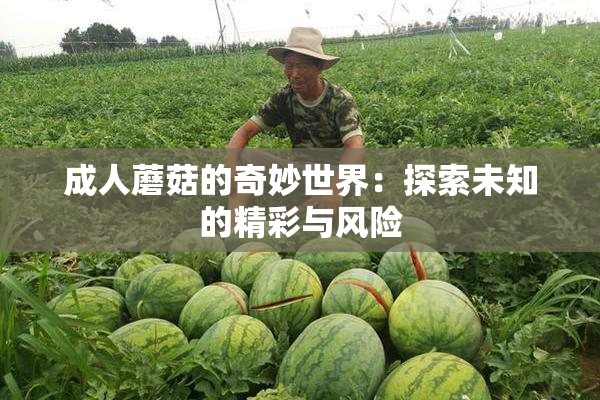 成人蘑菇的奇妙世界：探索未知的精彩与风险