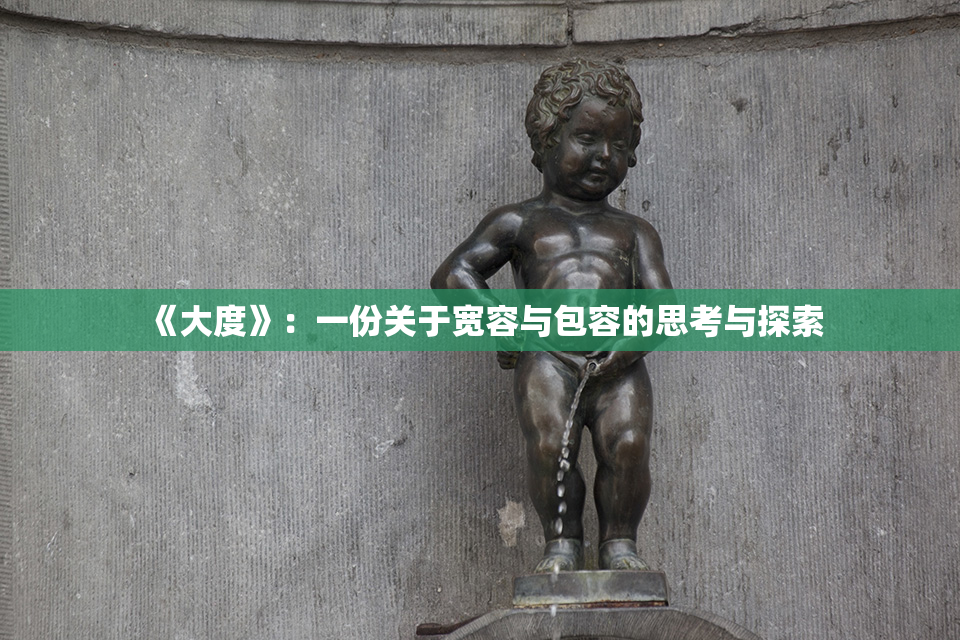 《大度》：一份关于宽容与包容的思考与探索
