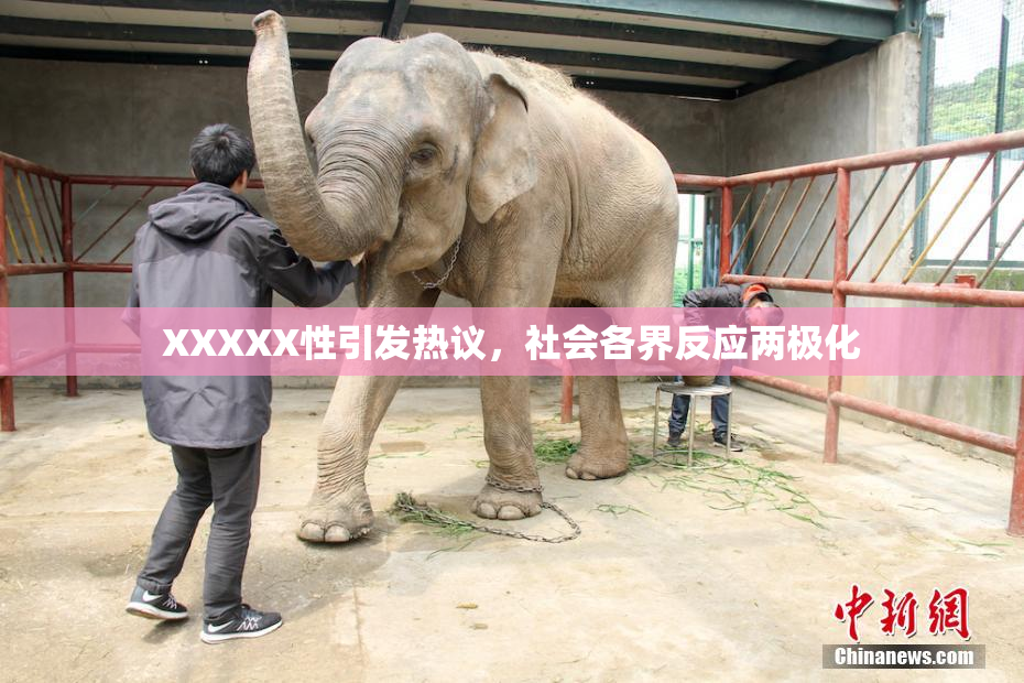XXXXX性引发热议，社会各界反应两极化