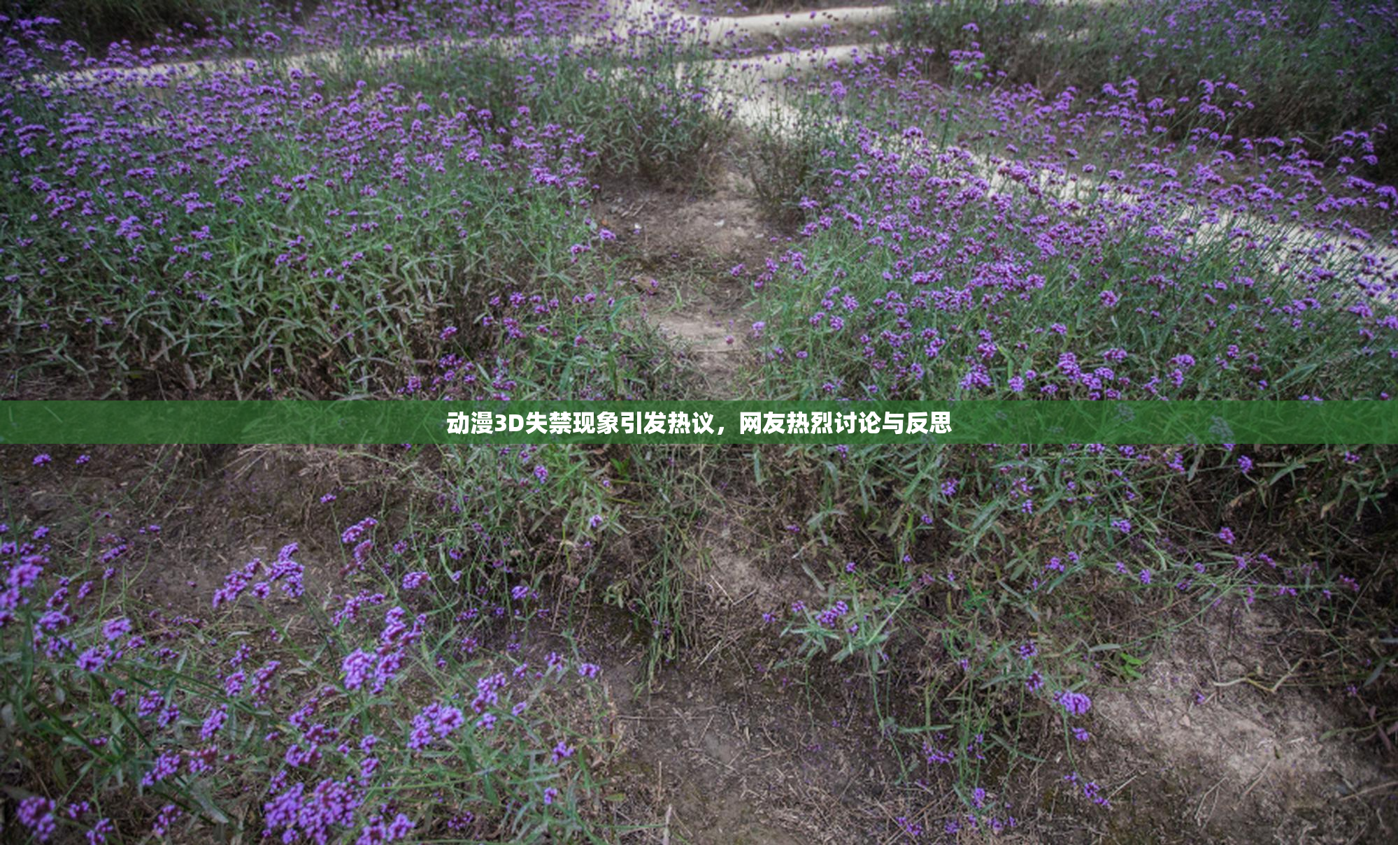 动漫3D失禁现象引发热议，网友热烈讨论与反思