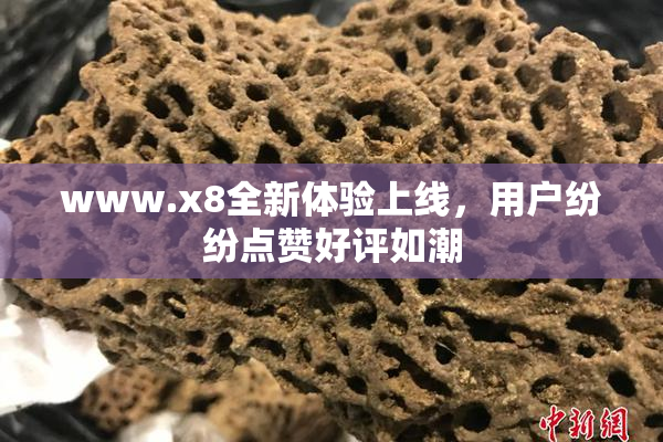 www.x8全新体验上线，用户纷纷点赞好评如潮