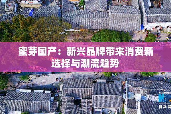 蜜芽国产：新兴品牌带来消费新选择与潮流趋势