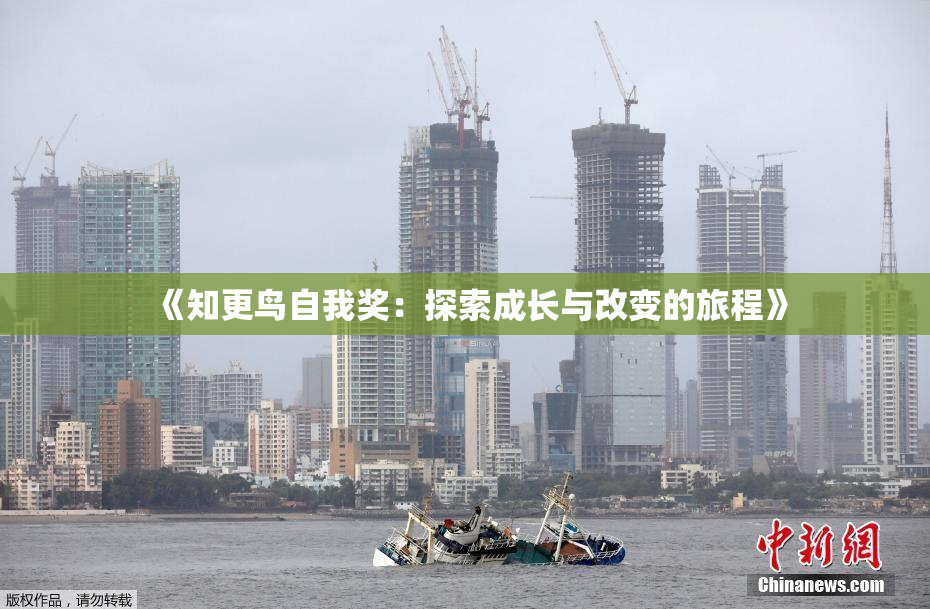 《知更鸟自我奖：探索成长与改变的旅程》