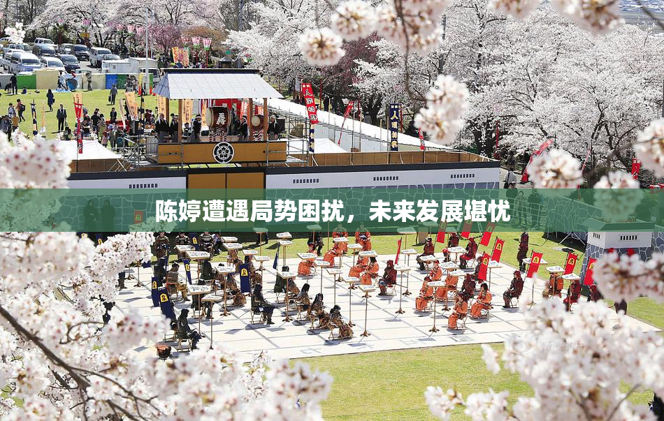 陈婷遭遇局势困扰，未来发展堪忧