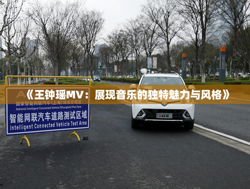《王钟瑶MV：展现音乐的独特魅力与风格》