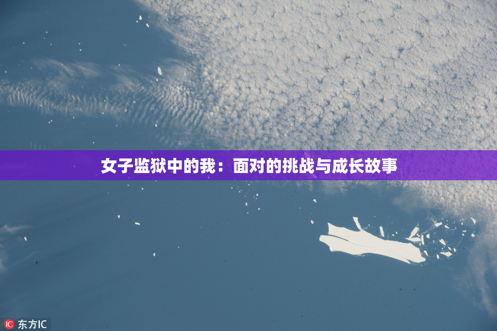 女子监狱中的我：面对的挑战与成长故事