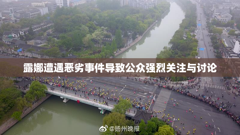 露娜遭遇恶劣事件导致公众强烈关注与讨论