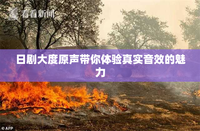 日剧大度原声带你体验真实音效的魅力
