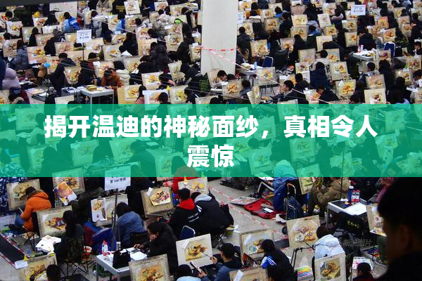 揭开温迪的神秘面纱，真相令人震惊