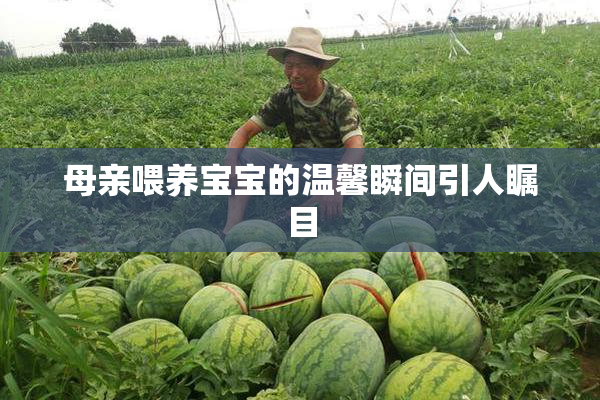 母亲喂养宝宝的温馨瞬间引人瞩目