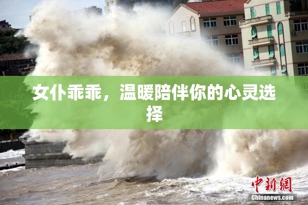 女仆乖乖，温暖陪伴你的心灵选择