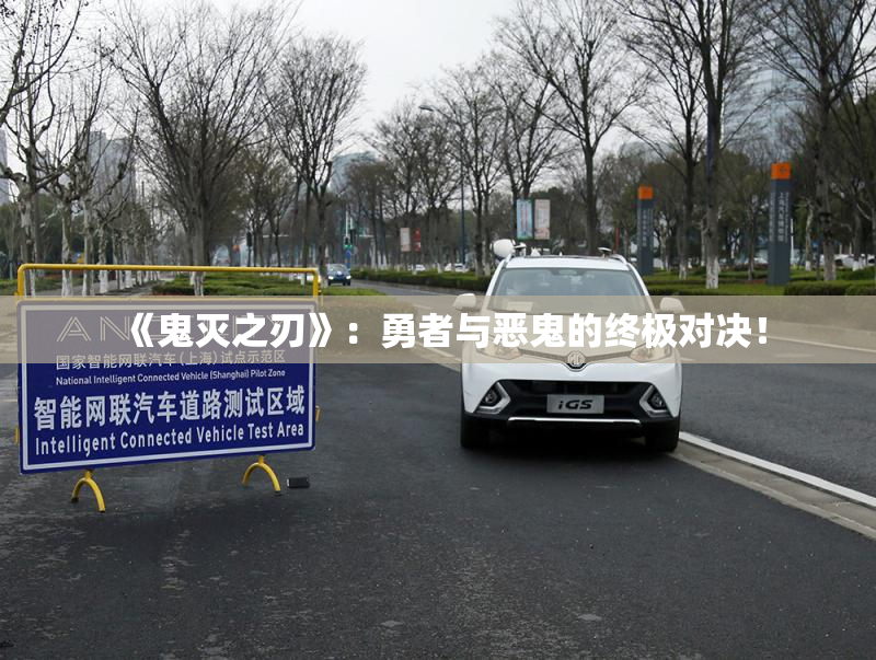 《鬼灭之刃》：勇者与恶鬼的终极对决！