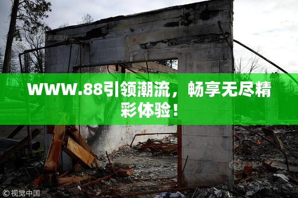 WWW.88引领潮流，畅享无尽精彩体验！