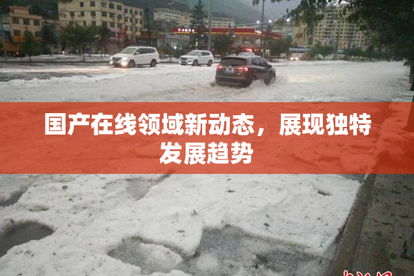 国产在线领域新动态，展现独特发展趋势