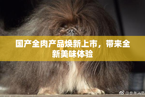 国产全肉产品焕新上市，带来全新美味体验