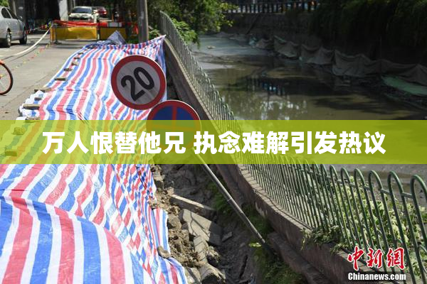 万人恨替他兄 执念难解引发热议