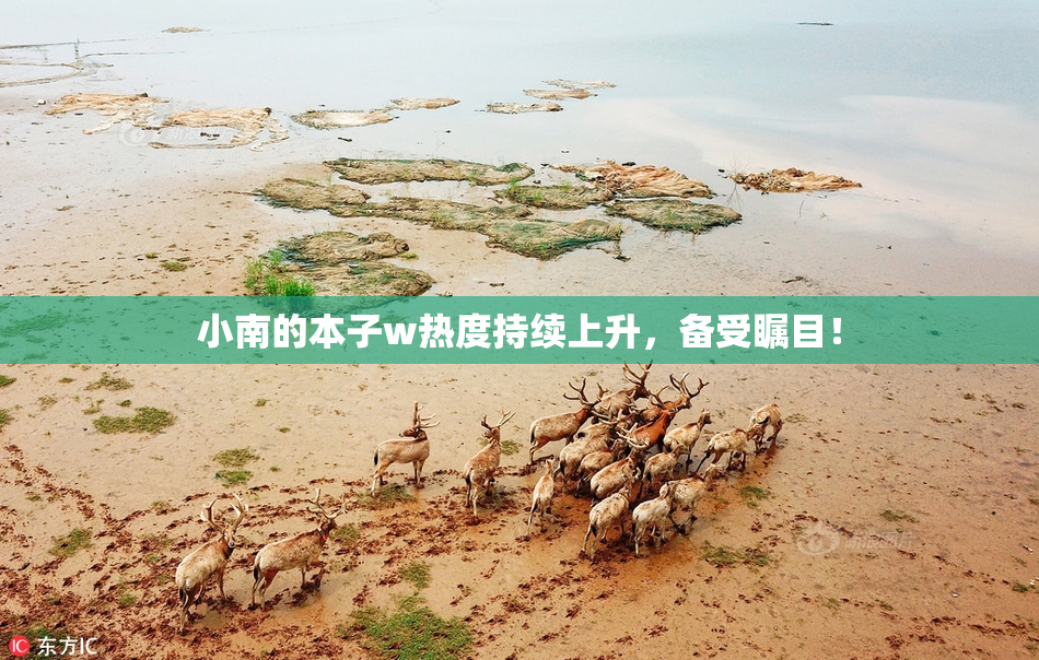 小南的本子w热度持续上升，备受瞩目！
