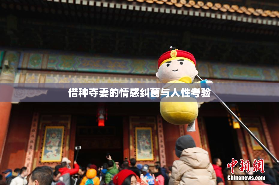 借种夺妻的情感纠葛与人性考验