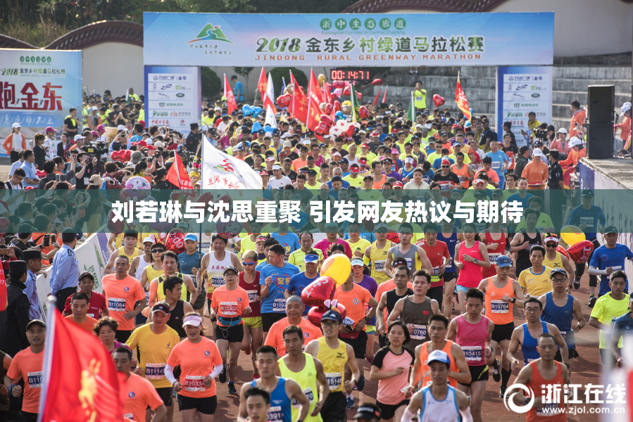 刘若琳与沈思重聚 引发网友热议与期待