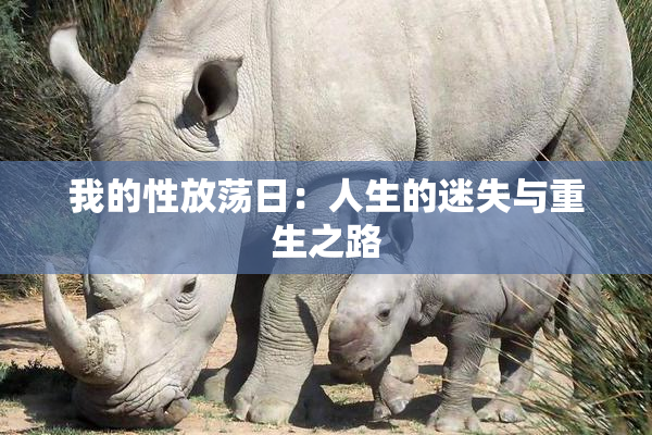 我的性放荡日：人生的迷失与重生之路
