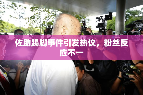佐助踢脚事件引发热议，粉丝反应不一