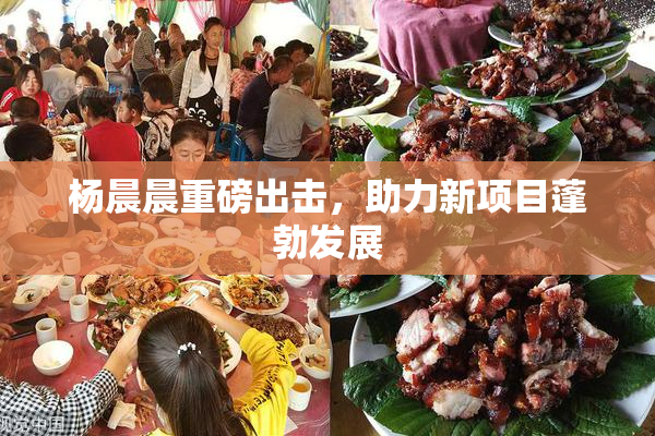 杨晨晨重磅出击，助力新项目蓬勃发展