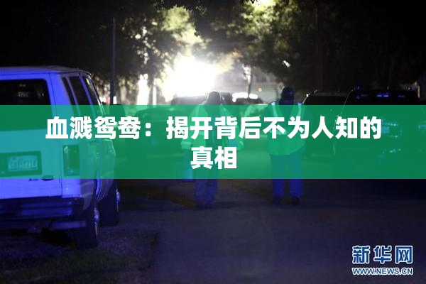 血溅鸳鸯：揭开背后不为人知的真相