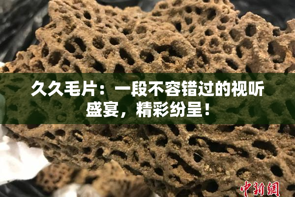 久久毛片：一段不容错过的视听盛宴，精彩纷呈！