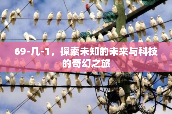 69-几-1，探索未知的未来与科技的奇幻之旅
