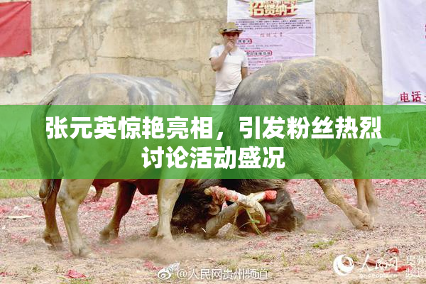 张元英惊艳亮相，引发粉丝热烈讨论活动盛况