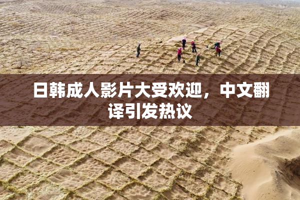日韩成人影片大受欢迎，中文翻译引发热议