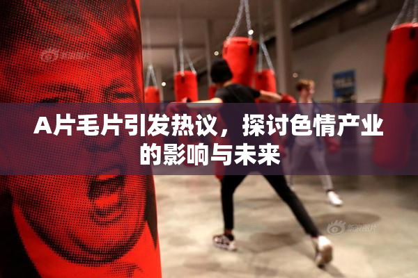 A片毛片引发热议，探讨色情产业的影响与未来