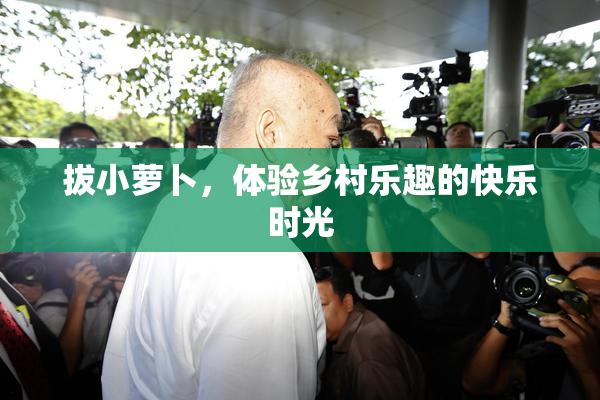 拔小萝卜，体验乡村乐趣的快乐时光