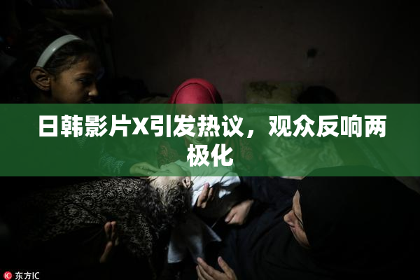日韩影片X引发热议，观众反响两极化