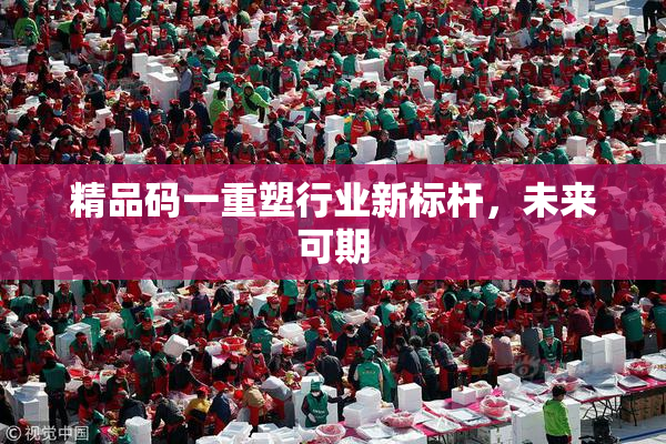 精品码一重塑行业新标杆，未来可期