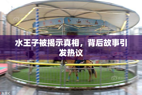 水王子被揭示真相，背后故事引发热议