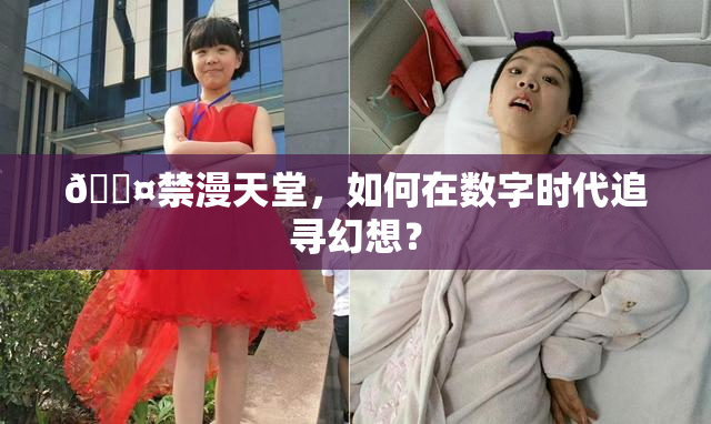 🖤禁漫天堂，如何在数字时代追寻幻想？